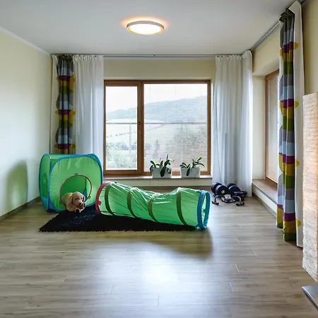 Luxusní Vila Pod Hradem S Velkými Terasami Vila Starý Jičín